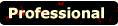 Professional Highlights